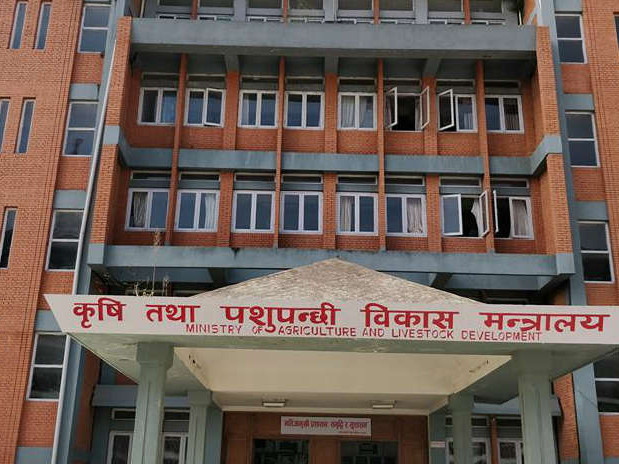 १५ मुर्रा राँगाबाट एक लाख भैँसीमा नश्ल सुधार गरिने